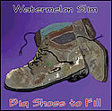 "Big Shoes to Fill" by Watermelon Slim